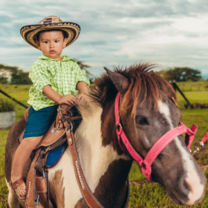Ponis para niños