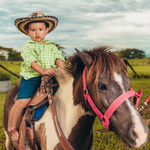 Ponis para niños