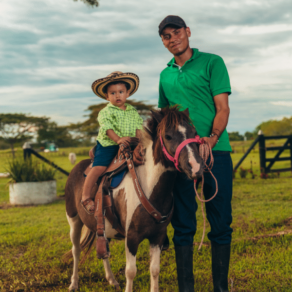 Ponis para niños - Image 2
